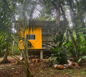 Tiny jungle house, few minutes from the beach